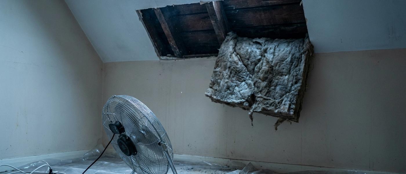 A ceiling opened during repair, with a rectangular section of drywall removed to expose the joists and damp insulation pulled back, and a fan directing air into the cavity